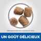 Quatre morceaux de croquettes brunes disposés en cercle, avec le texte : "UN GOÛT DÉLICIEUX" et "Taille approximative 10 x 9mm."