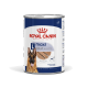 Dosen-Hundefutter von Royal Canin, beschriftet mit "maxi adult", geeignet für Hunde über 15 Monate, mit einem Bild eines Deutschen Schäfers.