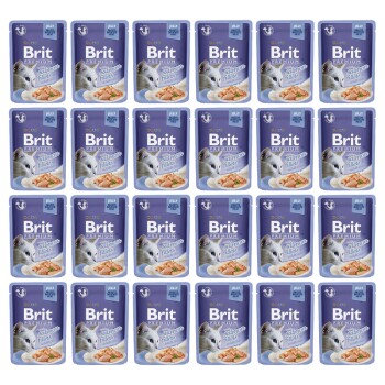 Premium Cat Adult Delicate Fillets in Jelly with Salmon 24 x 85 g