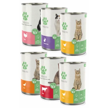 Dosen mit Fellicita-Hundefutter in verschiedenen Geschmacksrichtungen: Truthahn, Kaninchen, Huhn, Ente und Rind, mit Bildern von Katzen auf den Etiketten.