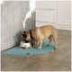Ein beige Französischer Bulldogge mit einem braunen Halsband frisst aus einer weißen Schüssel auf einer türkisfarbenen Matte in einer modernen Kücheneinstellung.