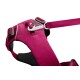 Eine Nahaufnahme eines rosa Hundegeschirrs mit einem Metallclip und verstellbaren Riemen, entworfen für Komfort und Sicherheit.