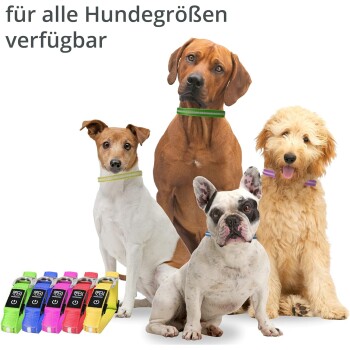 Vier Hunde mit bunten Halsbändern und dem Text 'für alle Hundgrößen verfügbar', was die Verfügbarkeit für alle Größen anzeigt.