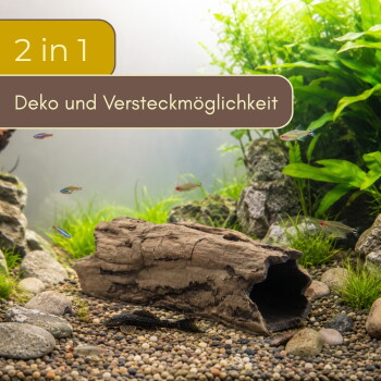 Aquarium mit hohlem Treibholzversteck auf Kies, Pflanzen und kleinen Fischen; Text: '2 in 1' 'Deko und Versteckmöglichkeit'.