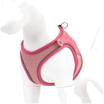 Pinkes Netz-Hundegeschirr mit reflektierendem Rand an weißem Hundemodell, Metall-Leinenring sichtbar.