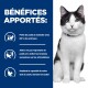 Chat noir et blanc assis à côté d'un panneau bleu portant l'inscription «BÉNÉFICES APPORTÉS :» avec du texte en français sur la perte de poids et le soutien des articulations.