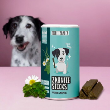 Behälter mit "Zahnfee Sticks" für Hunde, 350g, mit Pfotenabdruck-Design. Drei sternförmige Sticks, eine Gänseblümchen und Minzblätter in der Nähe.