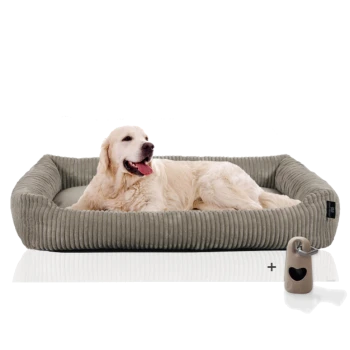 Ein Golden Retriever liegt bequem in einem plüschigen, grauen Haustierbett mit strukturiertem Rand, begleitet von einem kleinen herzförmigen Spielzeug.