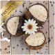 Drei runde, halbierte Haustierfutterleckerlis mit einer cremigen Füllung, umgeben von schwarzen Samen und einer weißen Blume, gekennzeichnet mit 'PREMIUM'.