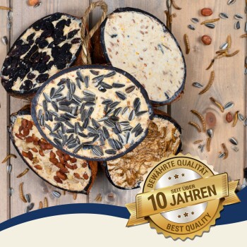 Vier runde Vogelfutterkuchen mit Samen und Nüssen auf einer Holzoberfläche, mit einem "Beste Qualität"-Abzeichen auf Deutsch.