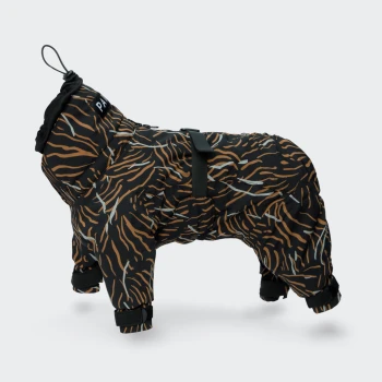 Schwarz-braun tigergestreifter Hunderegenmantel mit verstellbaren Riemen und Kapuze, mit "PAW"-Aufschrift am Hals.