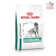 Royal Canin Veterinary GLYCOBALANCE Hundefuttersack mit Illustration eines stehenden Hundes und sichtbarem Text ‚ROYAL CANIN‘ und ‚GLYCOBALANCE‘.