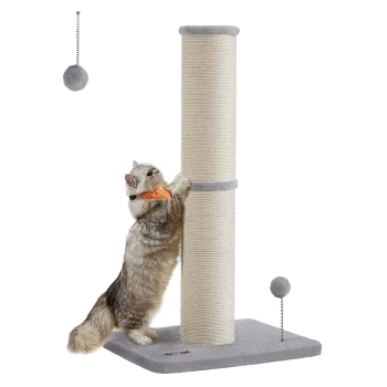 Eine flauschige graue Katze mit einem Halsband kratzt an einem hohen beigen Kratzbaum, der eine graue Basis und zwei hängende Pompons hat.