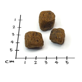 Drei braune Haustierfutterkibble-Stücke auf einem weißen Hintergrund, mit einem Lineal, das bis zu 5 cm misst, daneben.