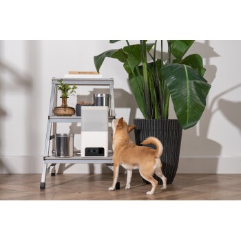 Ein kleiner, tanfarbener Hund schaut neugierig zu einem weißen Haustierfutterspender auf einem Metallregal auf, umgeben von Pflanzen und dekorativen Gegenständen.