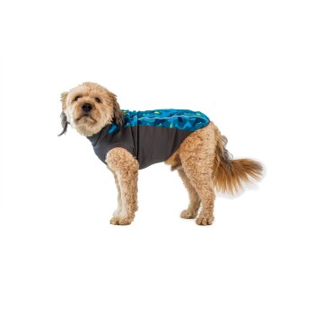 Ein flauschiger Hund, der ein stilvolles blaues und graues Haustierhemd trägt, steht vor einem weißen Hintergrund und schaut neugierig in die Kamera.