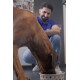 Großer brauner Hund frisst aus weißer Schale mit bunten Pfotenabdrücken, lächelnder Mann kniet im Hintergrund.