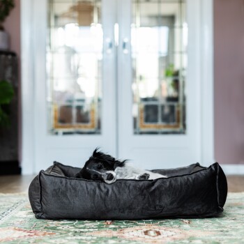 Ein kleiner schwarz-weißer Hund schläft friedlich in einem plüschigen grauen Haustierbett auf einem gemusterten Teppich, mit Glastüren im Hintergrund.