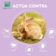 Ein helllila Hintergrund zeigt einen sich kratzenden Hasen, mit Schädling-Icons und dem Text "ACTÚA CONTRA" und "MENFORSAN Happy Animals."