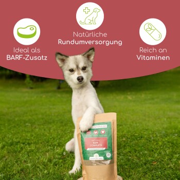 Ein Hund auf Gras hält eine "NATURAL BARF COMPLETE"-Tüte mit Text: "Ideal als BARF-Zusatz," "Natürliche Rundumversorgung," "Reich an Vitaminen."