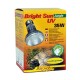 Box mit 'Bright Sun Jungle UV' 35W Lampe für Reptilien, mit einer Schildkröte auf der Vorderseite und mehrsprachigem Text über ihre Verwendung und Garantie.