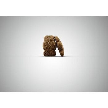 Kids für Welpen 12,5 kg