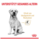 Ein sitzender Hund in Graustufen mit verschwommenem Gesicht, begleitet von Text, der "Unterstützt gesundes Altern" und "Erhalt von Idealgewicht und Muskulatur" angibt.