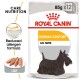 Royal Canin Dermacomfort dog food packaging, featuring a black Scottish Terrier, highlights "Reduced allergen formula" and "Care Nutrition."