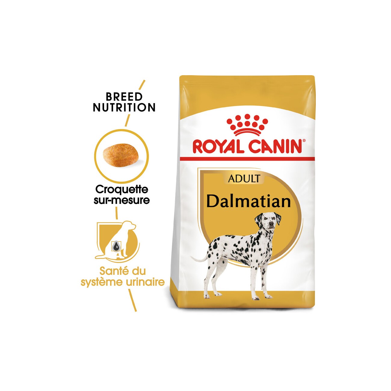 ROYAL CANIN Dalmatien Adulte Croquettes Chien 12 kg