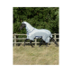 Ein schwarzes Pferd, das eine hellblaue Schutzdecke trägt, läuft durch ein grasbewachsenes Feld, mit einem Holzzaun und Bäumen im Hintergrund.