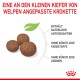 Welpenfutter-Kroketten in verschiedenen Größen auf weißem Hintergrund mit Text zu Kieferanpassung, Antioxidantien und ohne künstliche Zusätze.