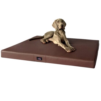 Ein großes braunes Hundebett mit einem eleganten Design, auf dem ein Hund bequem liegt. Das Bett hat ein kleines Logoetikett an der Seite.