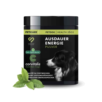 Schwarzer Behälter mit 'Ausdauer Energie Pulver' Hundefutterergänzung mit einem Profilbild eines Hundes, mit 'Belly Health Booster' und grünen Blättern.