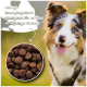 Ein gelber Hund frisst aus einer Metallschüssel; im Bild sieht man braunes Futter. Text: "Höhere Energie für aktive und junge Hunde."
