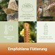 Vögel füttern an Futtersäulen mit deutschem Text über empfohlene Fütterung und Temperaturwarnungen.