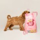 Un chiot brun duveteux se tient à côté d'un sac rose de nourriture pour chiots Edgard Cooper sans céréales, étiqueté "Fabulous Free-Run Duck & Chicken."