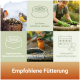 Vogelfütterungsposter mit Fotos von Rotkehle und Blaumeise, Symbolen und deutschem Text: „Empfohlene Fütterung“ und dem Tipp „Zur freien Aufnahme anbieten“.