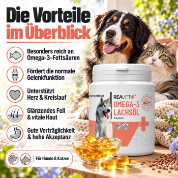 Nährwertanalyse-Tabelle mit Nährwertinformationen pro 100g, einschließlich Energie, Fett, Kohlenhydraten, Eiweiß und Vitaminen.