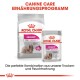Verpackung von Royal Canin Exigent Hundefutter mit einem "MINI" Trockenfutterbeutel und einem Nassfutterbeutel, mit dem Hinweis "99% bevorzugt" und "Die perfekte Kombination."