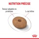 Croquettes pour animaux de compagnie de couleur marron avec un trou au centre, étiquetées "NUTRITION PRÉCISE," mettant en avant la teneur en protéines et la L-carnitine.