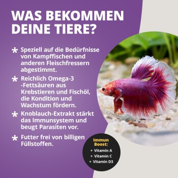 Anzeige ‚WAS BEKOMMEN DEINE TIERE?‘ mit rot-violettem Kampffisch, erwähnt Omega-3, und Abzeichen „Immun Boost: +A +C +D3“