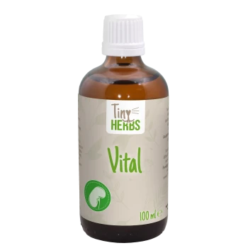 Braune Glasflasche mit dem Etikett "Tiny Herbs Vital" und einem weißen Deckel, die 100 ml Haustierergänzungsmittel enthält, mit einem Nieren-Symbol.