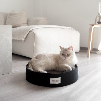 Eine flauschige hellfarbige Katze liegt in einem runden schwarzen Haustierbett mit der Aufschrift "MINTY & MARLA", das in einem modernen Wohnzimmer mit einem beigen Sofa steht.