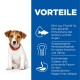 Ein kleiner Hund mit rotem Halsband sitzt neben einem blauen Hintergrund, der mit "VORTEILE" beschriftet ist und Vorteile wie DHA für die Gehirnentwicklung und ausgewogene Mineralien auflistet.
