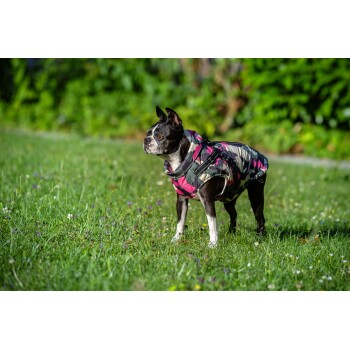 Ein Boston Terrier, der eine rosa und camouflage-musterte Jacke trägt, steht auf grünem Gras und schaut aufmerksam zur Seite.
