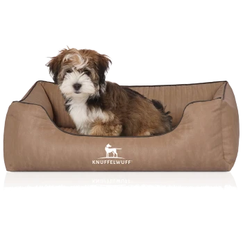 Flauschiger braun-weißer Welpe sitzt in einem beigefarbenen Hundebett mit weißem KNUFFELWUFF-Logo und Hundesilhouette.