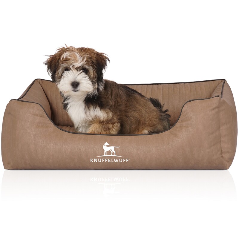 Knuffelwuff Orthopädisches Hundebett Tampa Aus Laser-gestepptem Kunstleder