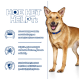 Ein glücklicher goldbrauner Hund auf einem blauen Hintergrund hebt die Vorteile von nahrhaftem Hundefutter für Verdauung und Energie hervor.