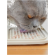Eine Nahaufnahme einer grauen Katze mit orangefarbenen Augen, die Futter von einer strukturierten Futtermatte leckt, mit kleinen Stücken feuchtem Katzenfutter sichtbar.