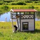 Ein Holzkatzenhaus mit einem schrägen Dach, zwei Katzen - orange oben, schwarz-weiß unten - in der Nähe eines Teiches mit einem Schwan.